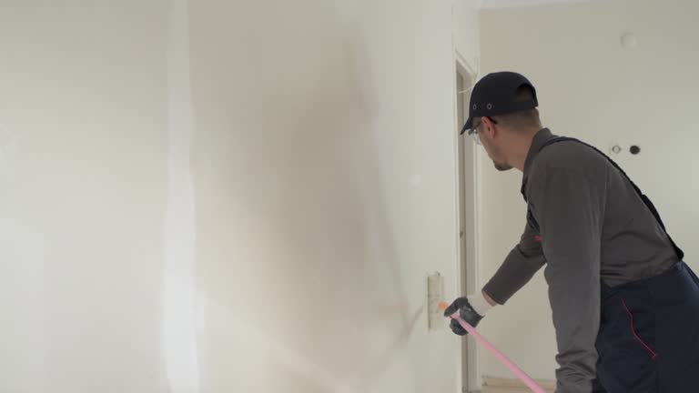 Best Drywall Sanding and Smoothing  in Lake St Croix Beach, MN